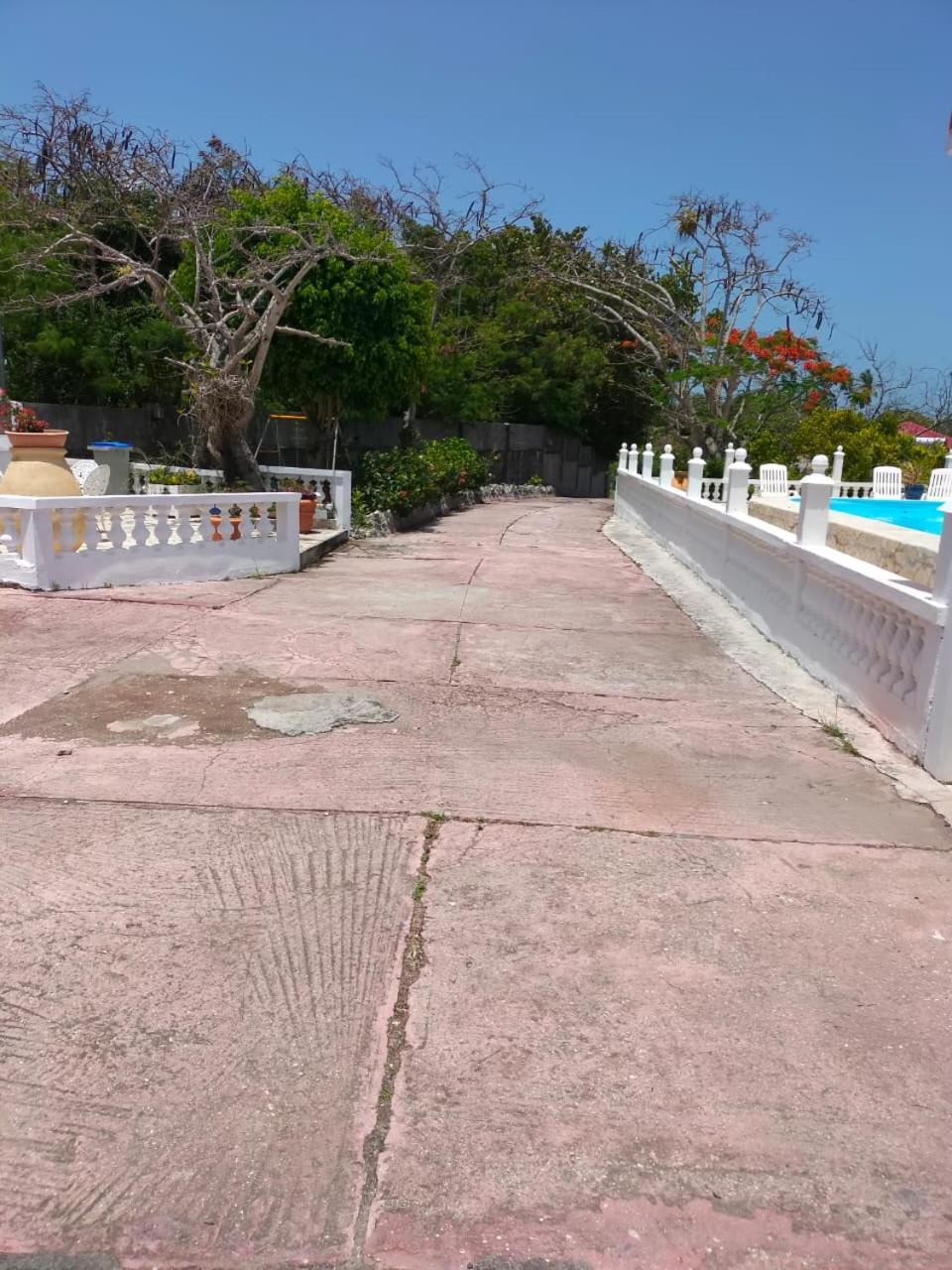 Domaine Des Tourterelles Villa Capesterre Kültér fotó